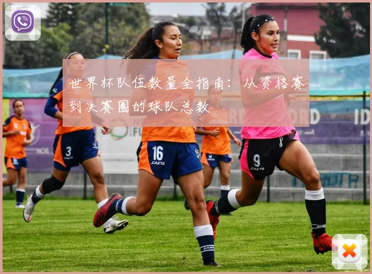 世界杯队伍数量全指南：从资格赛到决赛圈的球队总数