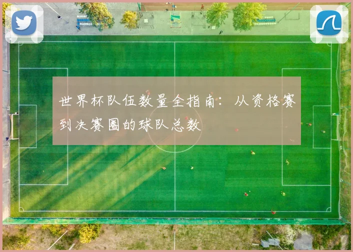 世界杯队伍数量全指南：从资格赛到决赛圈的球队总数